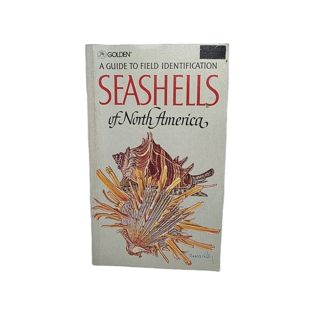 A Guide to Field Identification Seashells of North America